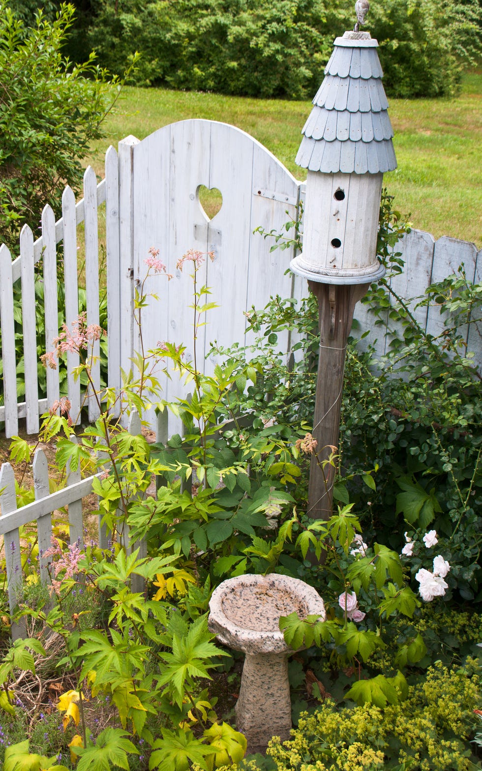 pocket garden