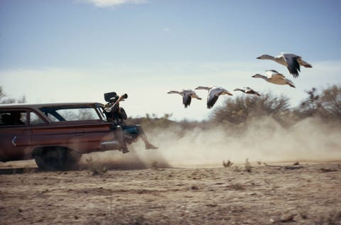 In de woestijn van Arizona legt fotograaf Des Bartlett sneeuw en blauwvleugelganzen vast vanuit de achterbak van een stationwagen Voor de National Geographic van december 1973 bestudeerden Bartlett en zijn vrouw Jen de ganzen op hun trek van het subarctische noorden van Canada naar de Golf van Mexico