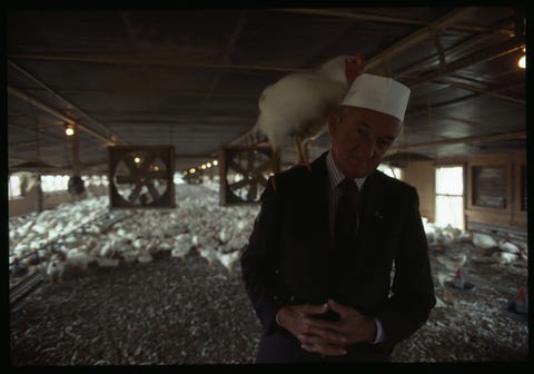 Een verhaal uit de editie van augustus 1983 vertelt het verhaal van de Staat Delaware inclusief de robuuste pluimveeindustrie Hier poseert Frank Perdue CEO van een van de grootste kippenbedrijven ter wereld met een van zijn dieren