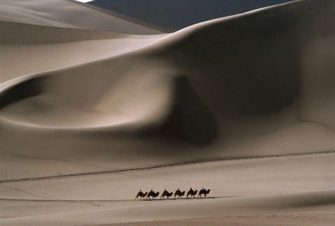 Bezoekers rijden op kamelen door de Taklimakanwoestijn in China net als Marco Polo in 1273 De woestijn is bijna net zo groot als heel Duitsland