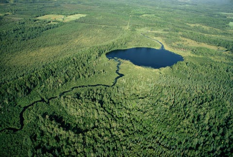In Wisconsin groeit een dicht bos rond een meer dat is ontstaan door een gletsjer Deze foto verscheen in de magazine editie van augustus 1777 in een verhaal dat het verloop van de ijstijd door de staat Wisconsin volgt