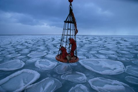 op deze foto uit de editie van mei 1996 bestuderen wetenschappers het winterijs van Antarctica op zoek naar levensvormen Bepaalde organismen zoals algen en mijten komen alleen voor op het bevroren continent dus elke expeditie levert waardevolle informatie op