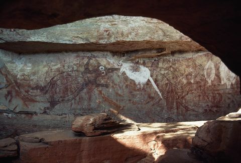 In de National Geographic van februari 1988 werd het tweehonderdjarig bestaan van Australi gevierd Een van de verhalen ging over het Kakadu National Park een beschermd natuurgebied dat door de Aboriginals aan de overheid wordt geleased Op deze foto zijn grottekeningen te zien die in het park zijn te vinden en naar schatting 20000 jaar oud zijn