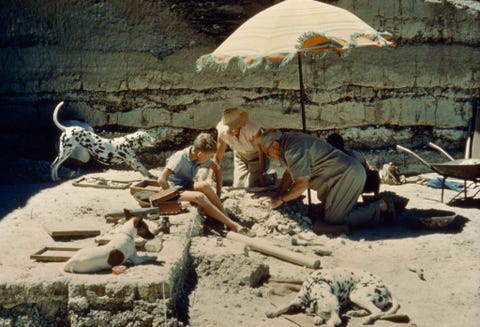 De familie Leakey archeoloog Louis paleontoloog Mary en zoon Philip onderzoeken een kampeerterrein van een prehistorisch mensachtig wezen in Olduvai Gorge Tanzania nadat ze in 1960 de fossielen hadden ontdekt Louis ging later verder met het oprichten van The Leakey Foundation die het werk van het bestuderen van de menselijke prehistorie