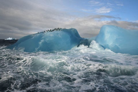 Stormbandpinguns rusten op de top van een blauwe ijsberg op de South Sandwicheilanden Het is moeilijk om de eilanden te bereiken maar fotograaf Maria Stenzel beschrijft ze als spookachtig spiritueel en immens krachtig