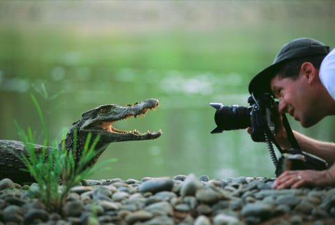 National Geographicfotograaf Joel Sartore komt dichterbij om een baby kaaiman te fotograferen in Madidi National Park inBolivia Het verhaal uit de maart 2000 editie over het park trok zoveelinternationale aandacht dat plannen voor een waterkrachtcentrale in het gebied werden stilgelegd