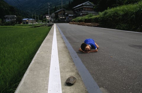 In miyama een stille plek aan de westkust van Honshu een eiland in Japan stopt een jongetje om een schildpad te bekijken aan de rand van de weg