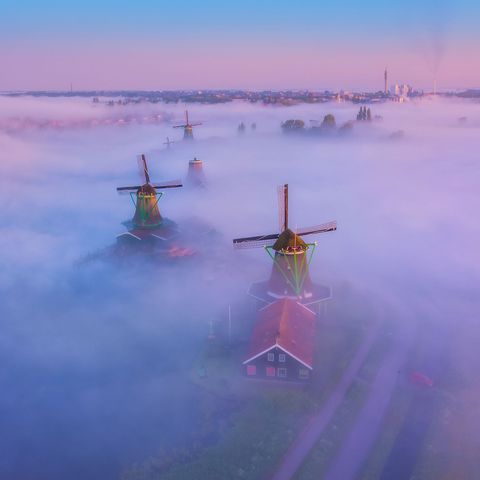 Windmolens duiken op uit de mist in Zaandam Ik droom al jaren van deze weersomstandigheden en kreeg ze eindelijk zegt Your Shotfotograaf Albert Dros Het was magisch om de windmolens te kunnen vastleggen onder deze condities