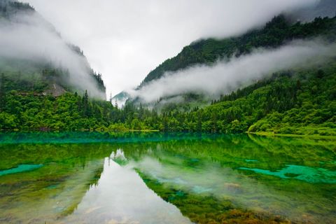 Mist blijft hangen tijdenszonsopgang boven een meer in het Chinese natuurreservaat Jiuzhaigou een plekvan vele kleurrijke meren en dramatische watervallen