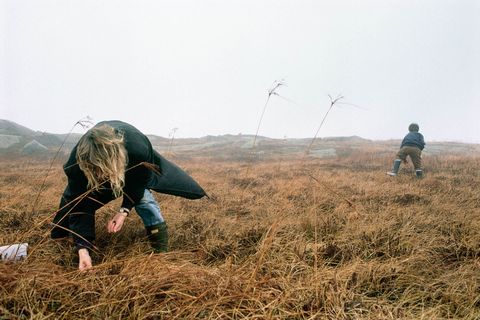 Een vrouw en haar zoon plukken veenbessen voor het Thanksgivingdiner op het onbewoonde Mananaeiland voor de kust van Maine Cranberries komen oorspronkelijk uit NoordAmerika en worden al honderden jaren tot saus verwerkt en geserveerd met vlees
