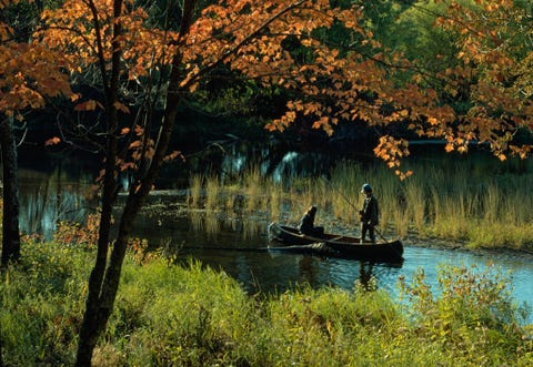 Twee Ojibwamensen zoeken naar wilde rijst langs de St Croixrivier tussen Wisconsin en Minnesota De Ojibwa wonen al duizenden jaren in dit gebied