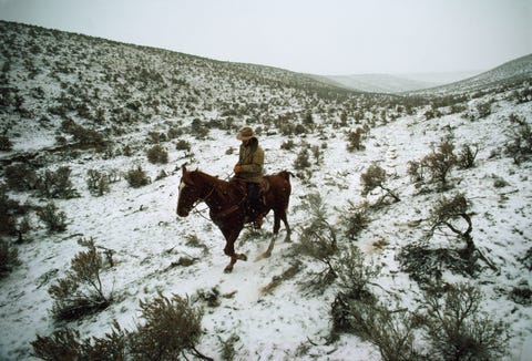 A man rides through the Rattlesnake Hills in Yakima County Washington The rich Yakima Valley is an agricultural hub and produces 70 percent of the apples in the United States