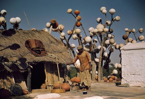 Deze afbeelding verscheen voor het eerst in een verhaal over New Delhi India in het oktobernummer van 1942 Pelgrims brachten kommen rijst naar deze plek als liefdadigheidsgeschenk en zodra de rijst was gegeten werden de kommen opgehangen om het geschenk te vieren