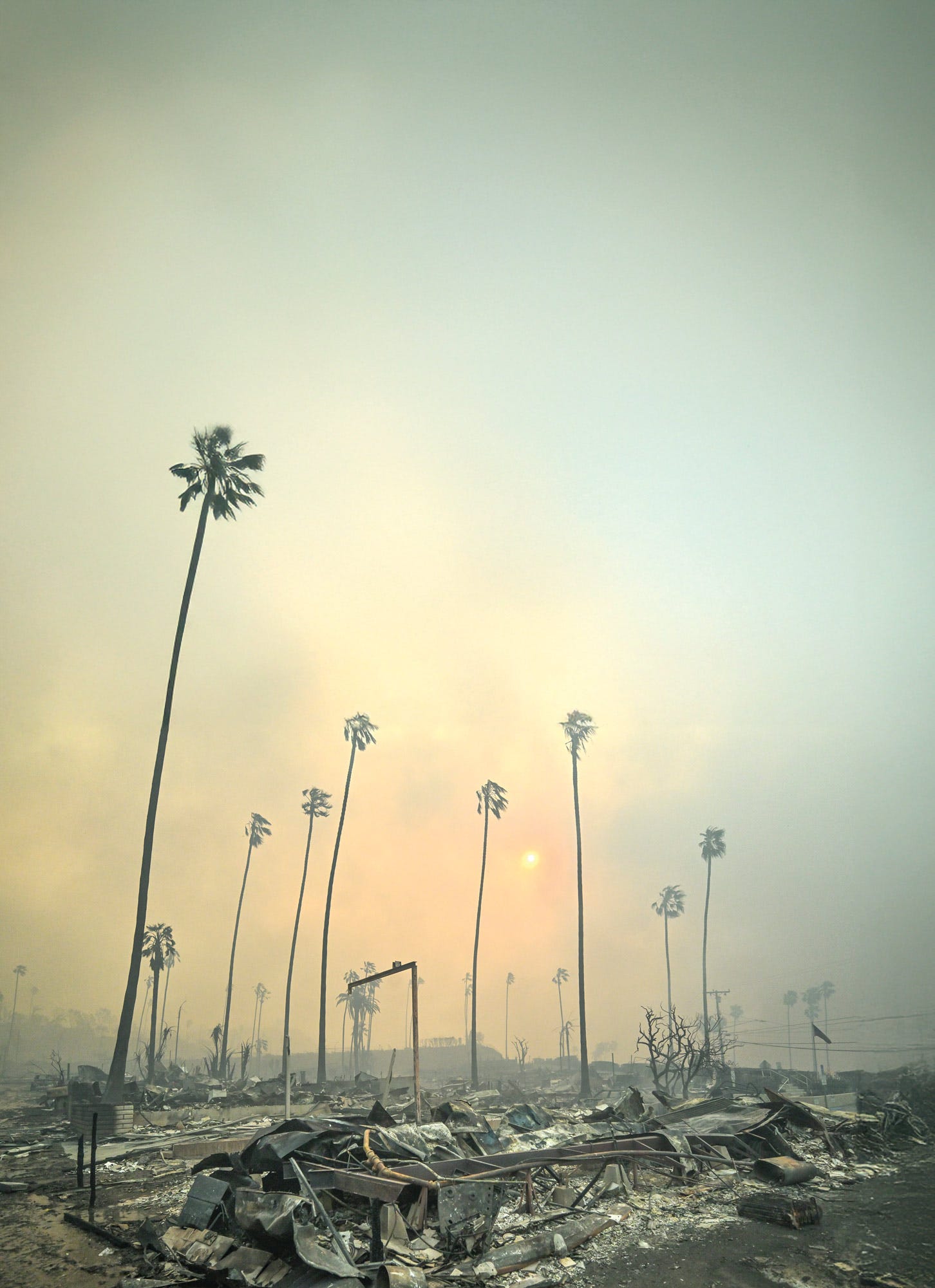 Fiction & Poetry - cover