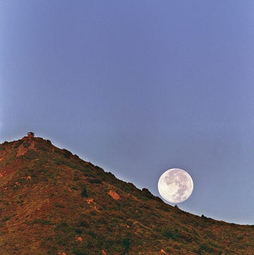 mt tam, marin county mt tam, marin county