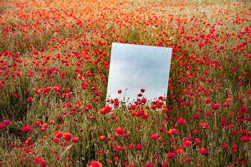 poetic picture of mirror reflecting blue sky between red poppies field during spring in spain