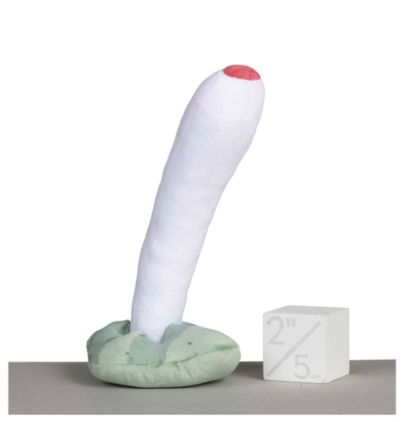 Pok mon s new Wiglett toy looks a little NSFW