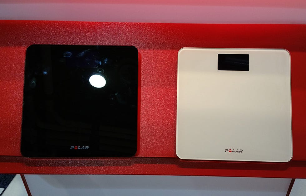 Polar