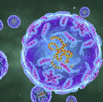 een illustratie van het poliovirus