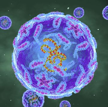 een illustratie van het poliovirus