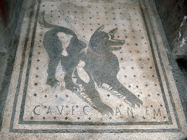 pompei fascinerendste vondsten pompeii cave canem