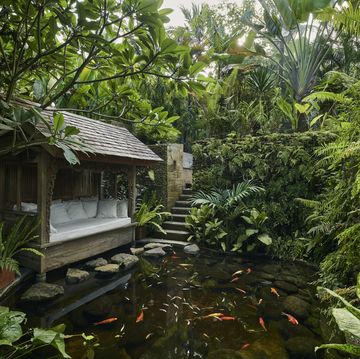 pond with koi carp with traditional wooden pergola seating area, situated at luxury resort