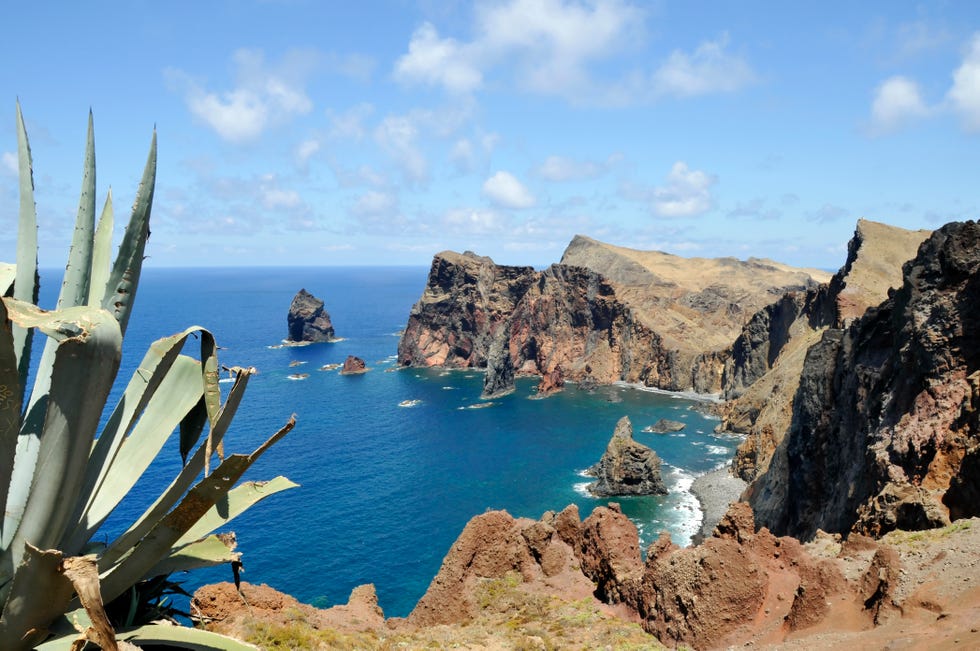 Ponta do Rosto, Sao Lourenço, Madeira Island