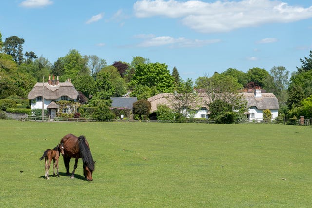 New Forest holiday cottages