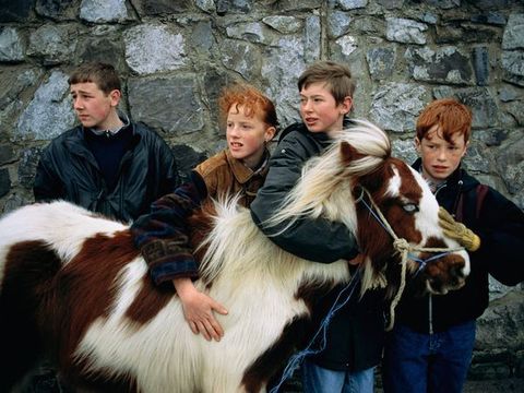 Hij is rustig en makkelijk te vangen zegt Lee Johnson aan de linkerkant over zijn pony Gypsy Lee zorgt voor zijn pony in een stal achter zijn huis in de Clondalkin wijk van Dublin een metropool waar autos nog steeds uitwijken voor boeren die met paardenwagen hun groenten naar de markt brengen