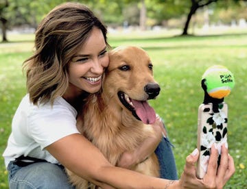 pooch selfie smartphone attachment for dog photography