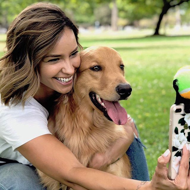 pooch selfie smartphone attachment for dog photography