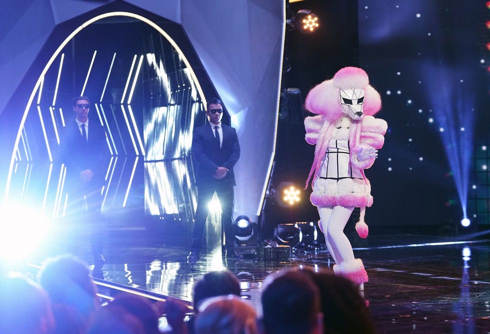 the masked singer rules