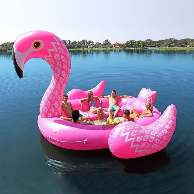 Pink, Water transportation, Flamingo, Water bird, Bird, Boat, Vehicle, Greater flamingo, Swan boat, Inflatable, 