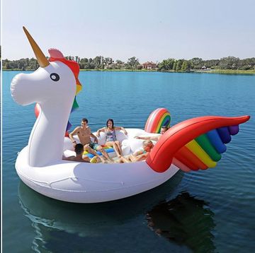Swan boat, Water transportation, Pink, Boat, Swan, Vehicle, Inflatable, Water bird, Bird, Boating, 