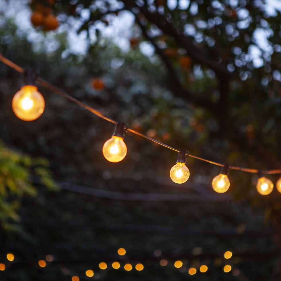 front shot of light bulbs hanging from cable against back yard during night
