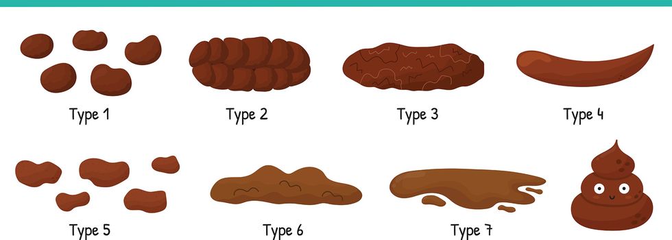 bristol stool set with different types of poo human feces collection from constipation to diarrhea vector illustration