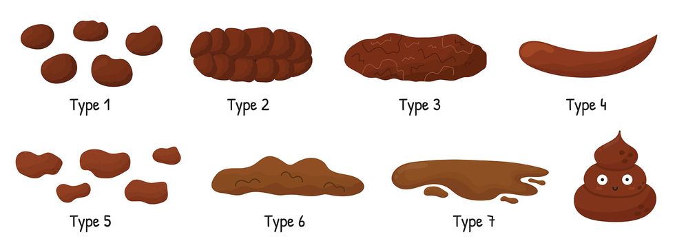 bristol stool set with different types of poo human feces collection from constipation to diarrhea vector illustration