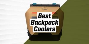 best backpack coolers