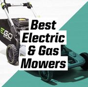 electric and gas mowers