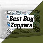 best bug zappers