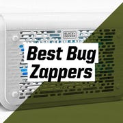 This is an image best bug zappers