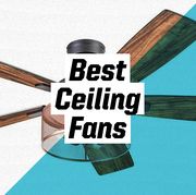 best ceiling fans