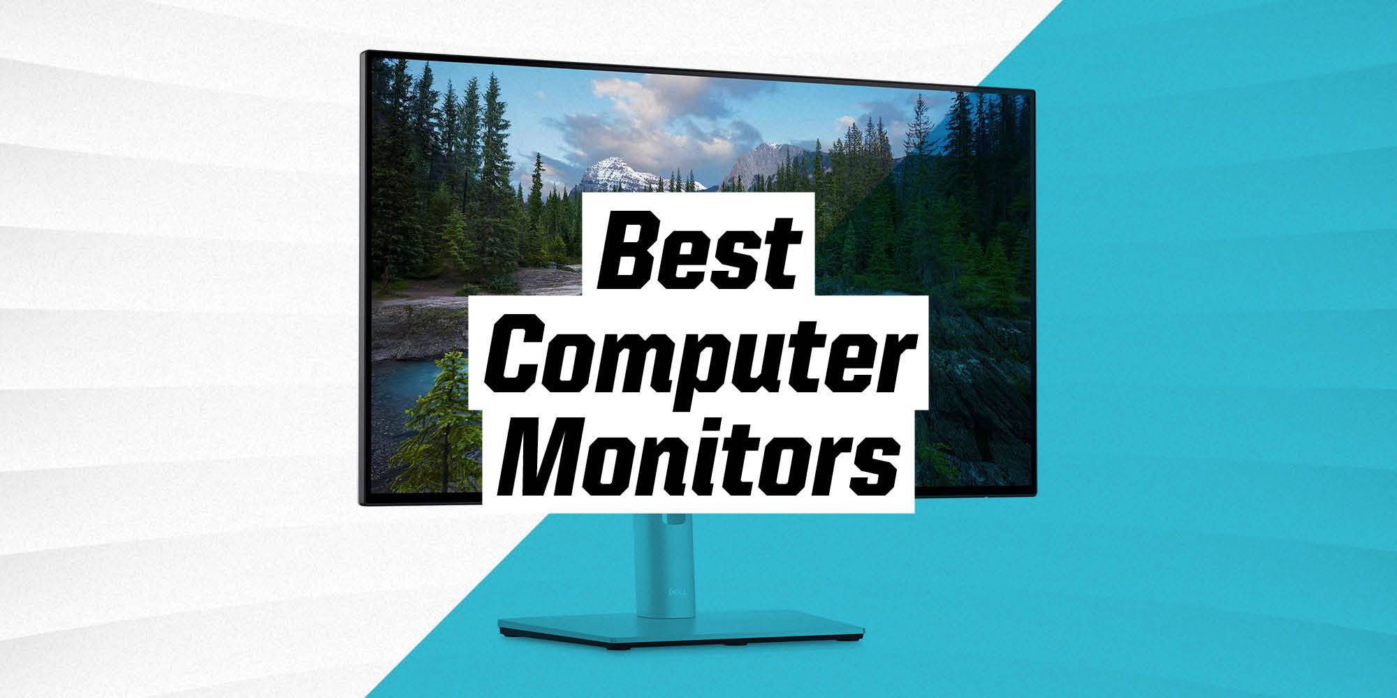 13 Best Monitors 2021