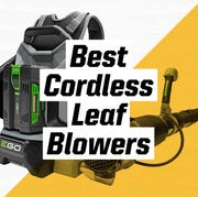 This is an image best cordless leaf blowers