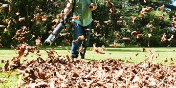 best cordless leaf blowers