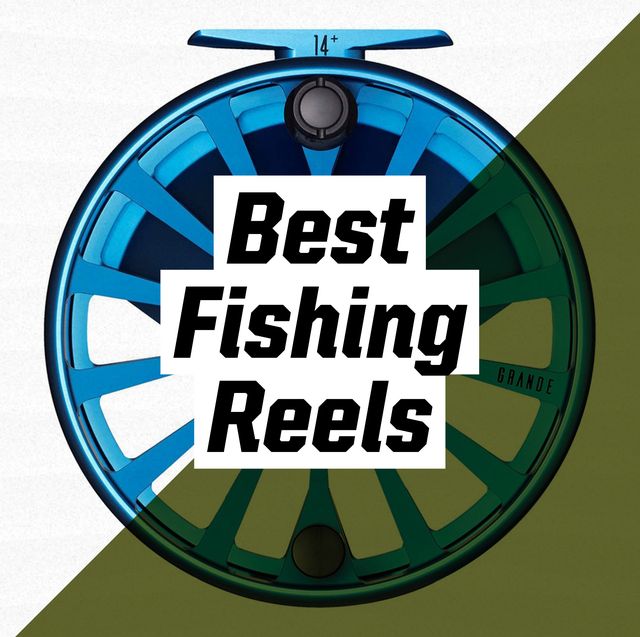 Best Fishing Reels 2021  Spinning, Baitcasting, and Fly Reels