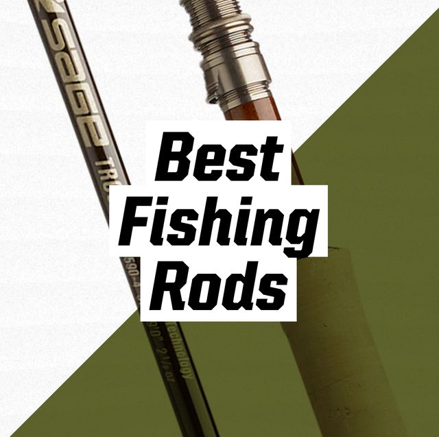 Best Fishing Rods and Reels of 2021