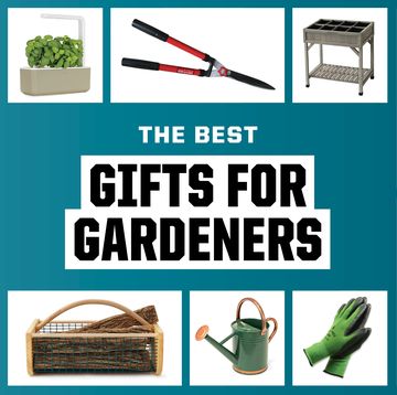 gadgets and tools for gardening
