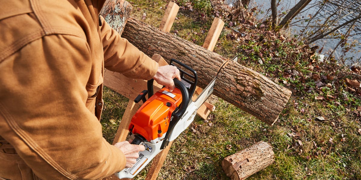 The 10 Best Chainsaws of 2023