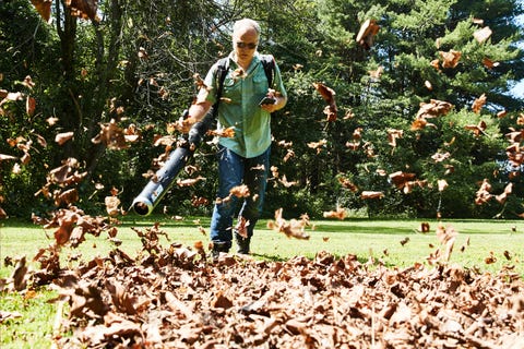 individual using a leaf blower to clear fallen leaves from a grassy area